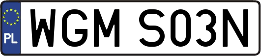 WGMS03N