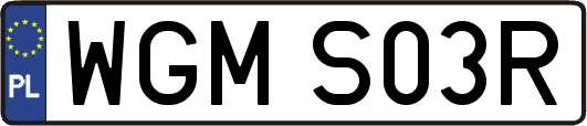 WGMS03R