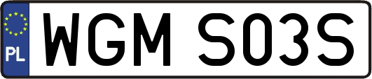 WGMS03S