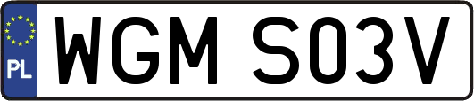 WGMS03V