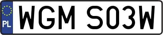 WGMS03W