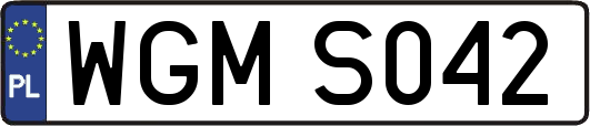 WGMS042
