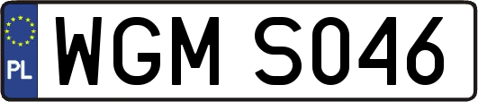 WGMS046