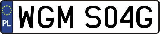 WGMS04G