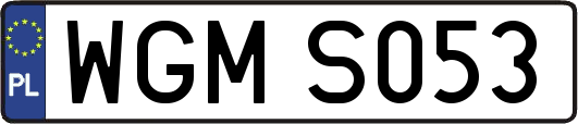 WGMS053