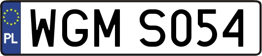 WGMS054