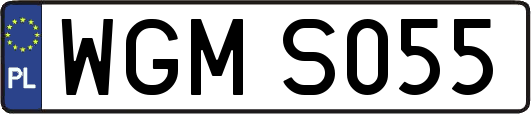 WGMS055