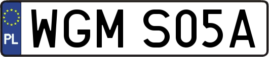 WGMS05A