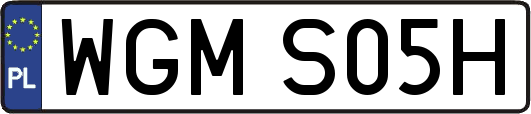 WGMS05H