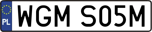 WGMS05M