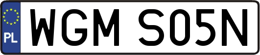 WGMS05N