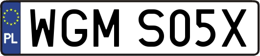 WGMS05X