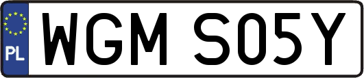 WGMS05Y