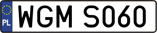 WGMS060