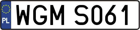 WGMS061
