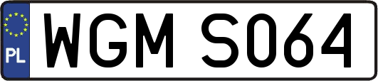WGMS064