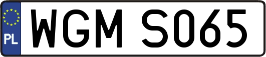 WGMS065