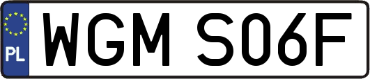 WGMS06F