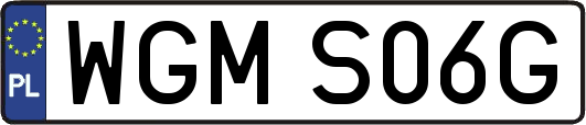 WGMS06G