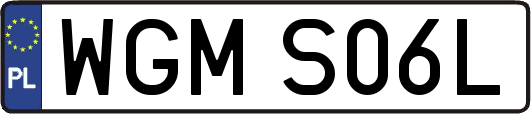 WGMS06L