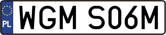 WGMS06M