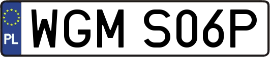 WGMS06P