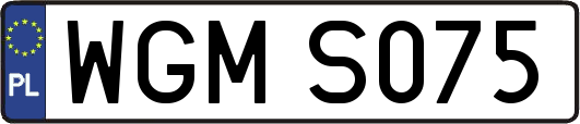 WGMS075