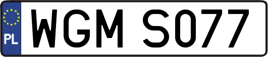 WGMS077