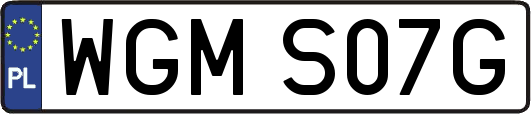 WGMS07G