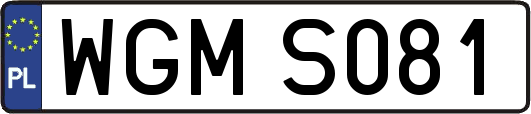 WGMS081