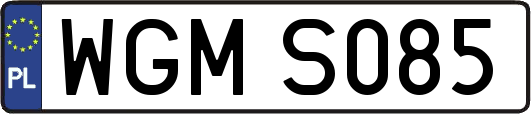 WGMS085