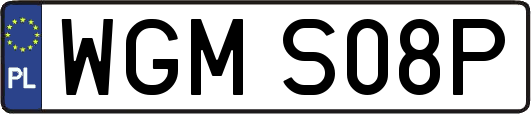 WGMS08P