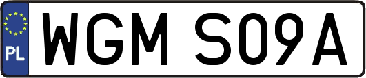 WGMS09A