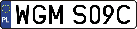 WGMS09C
