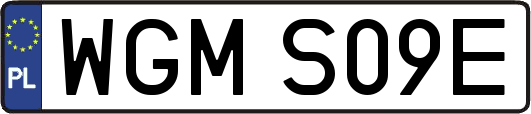 WGMS09E