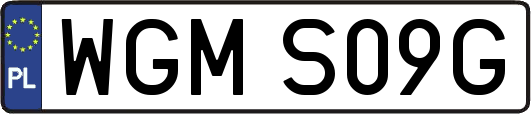 WGMS09G