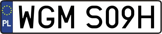 WGMS09H