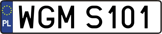 WGMS101