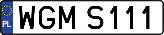 WGMS111