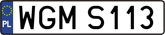 WGMS113