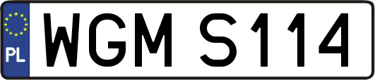 WGMS114