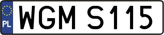 WGMS115