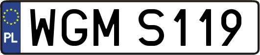 WGMS119
