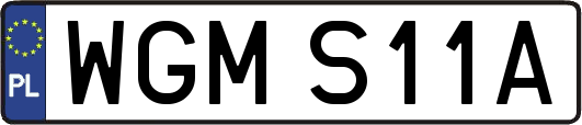 WGMS11A
