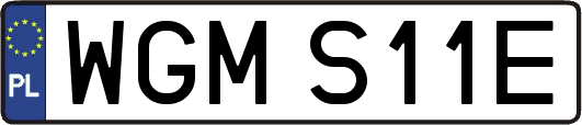 WGMS11E