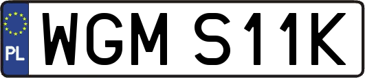 WGMS11K