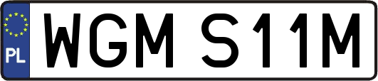 WGMS11M