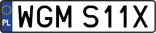 WGMS11X