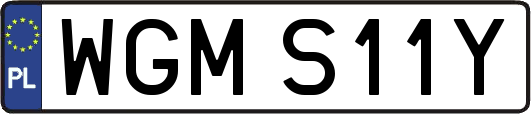WGMS11Y