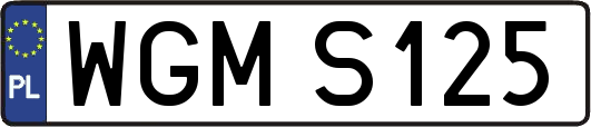 WGMS125